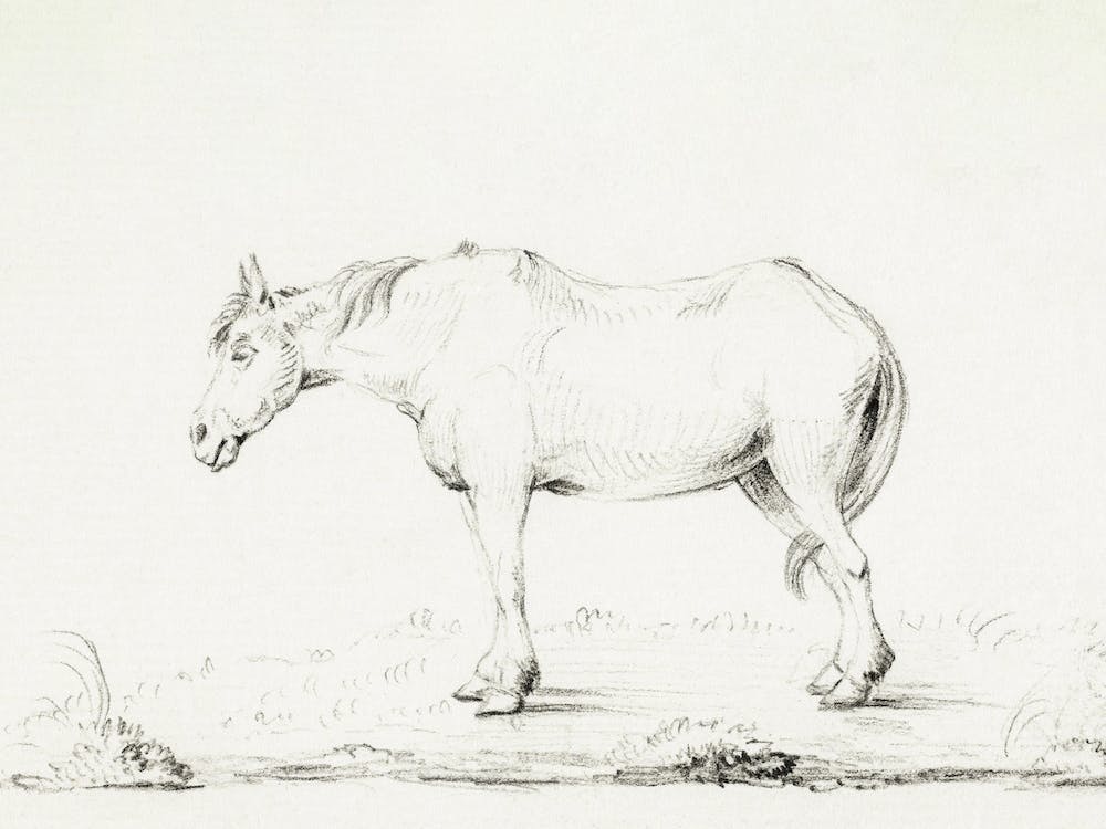 Standing Horse, Jean Bernard