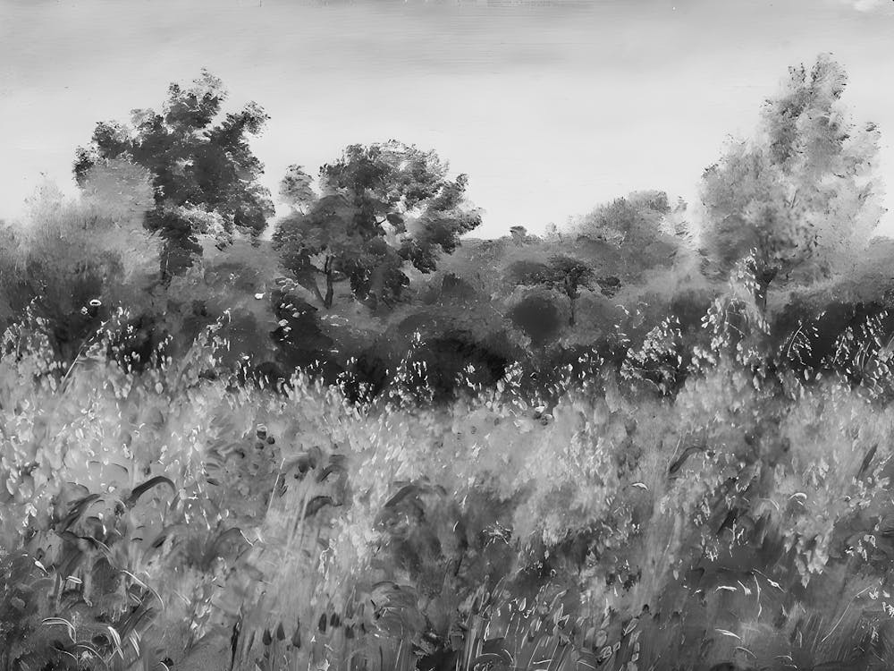 Black And White Painting 6