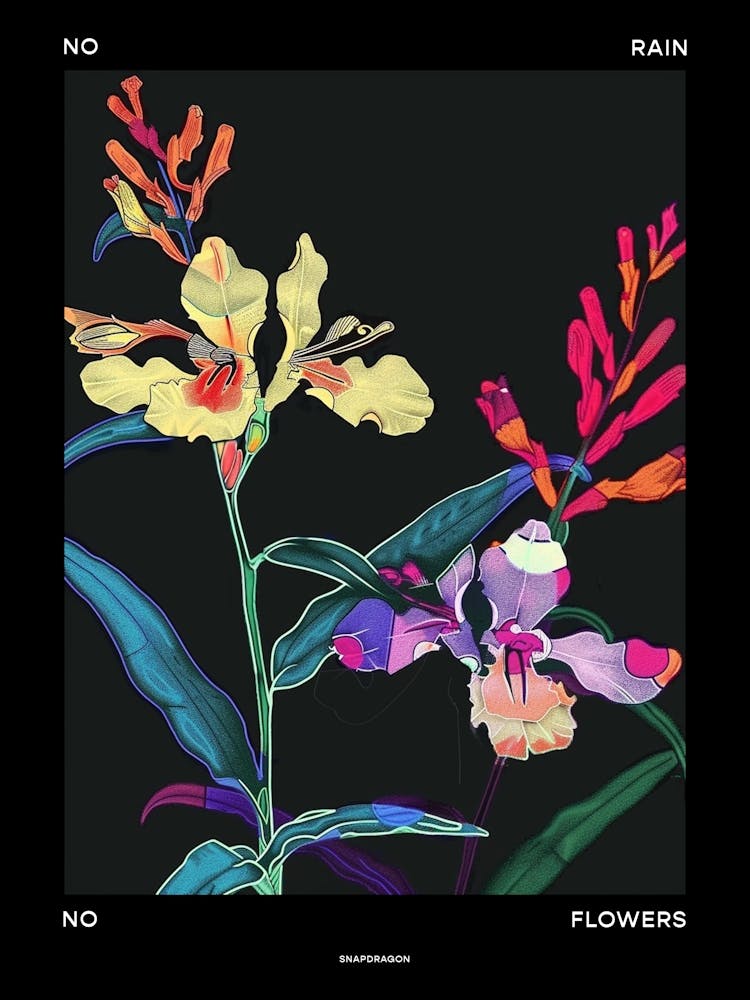 No Rain No Flowers Poster Snapdragon 2