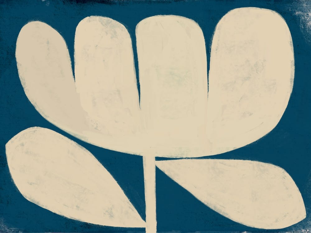 White Flower On Blue