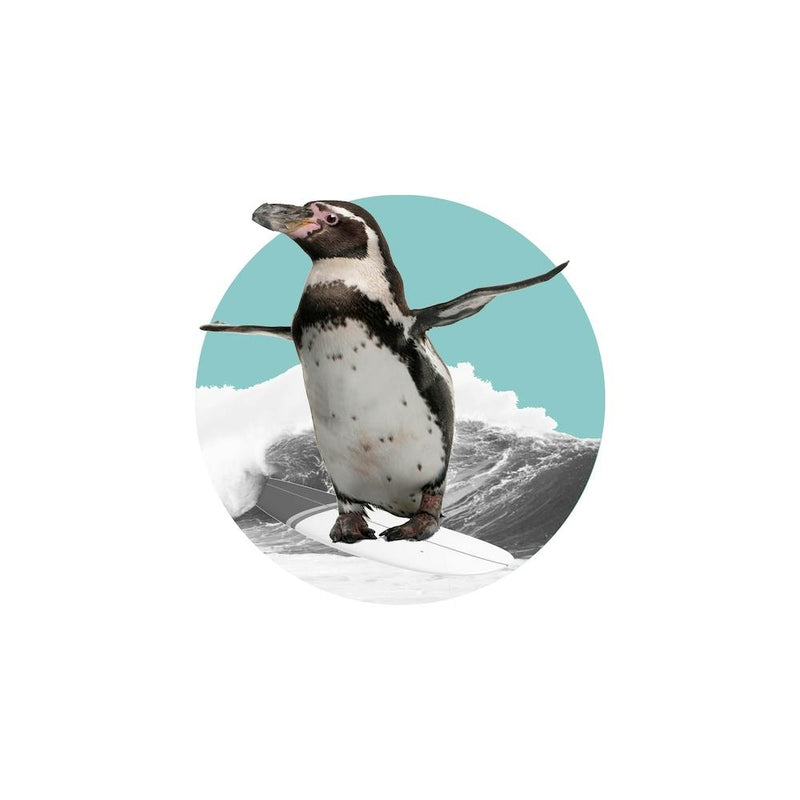 Humboldt Penguin Collage Square