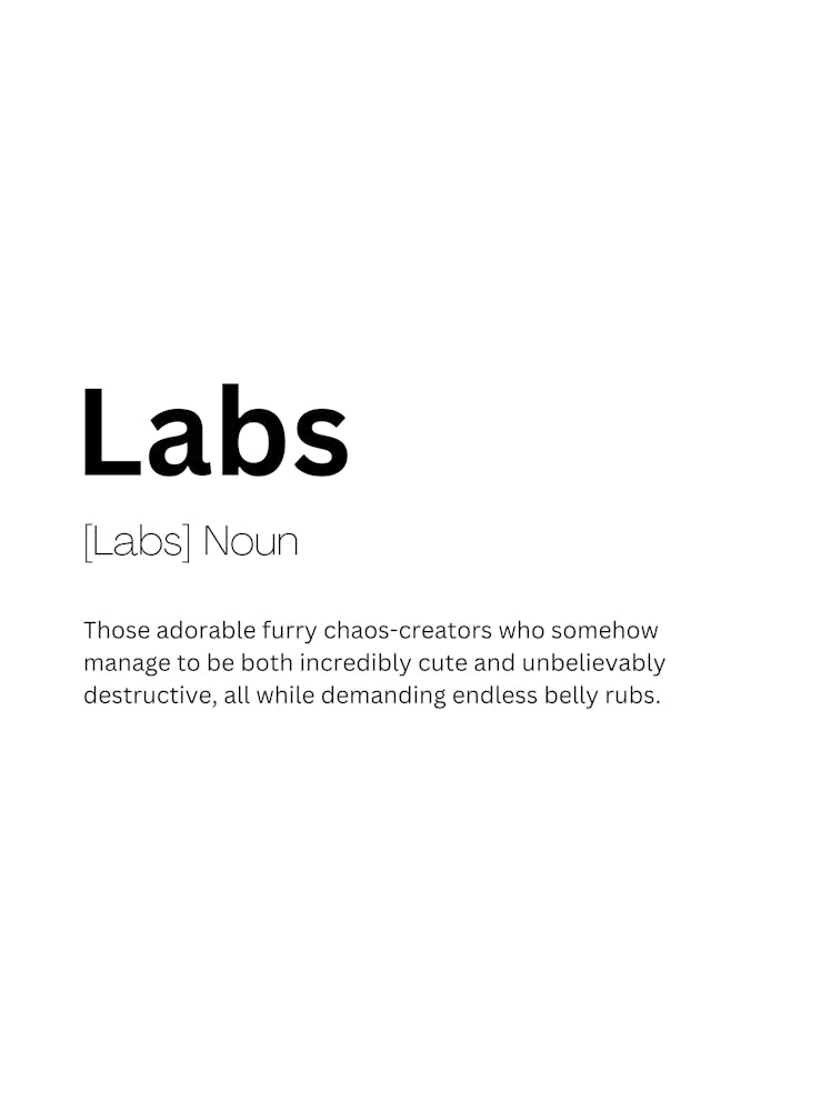 Labs Definition Meaning