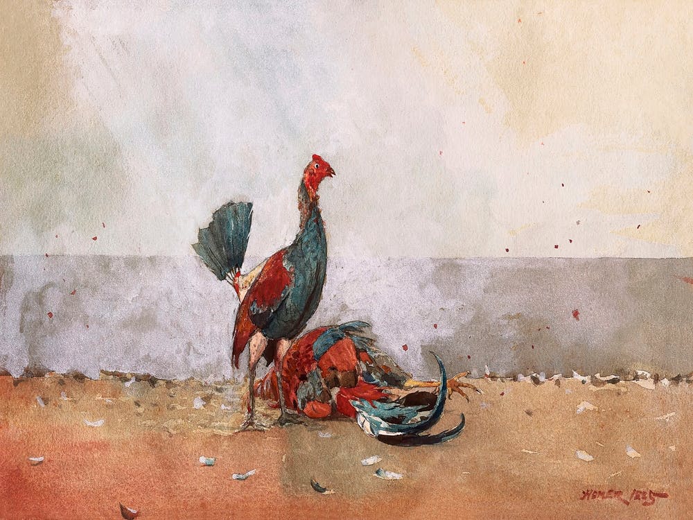 The Cock Fight (1885), Winslow Homer