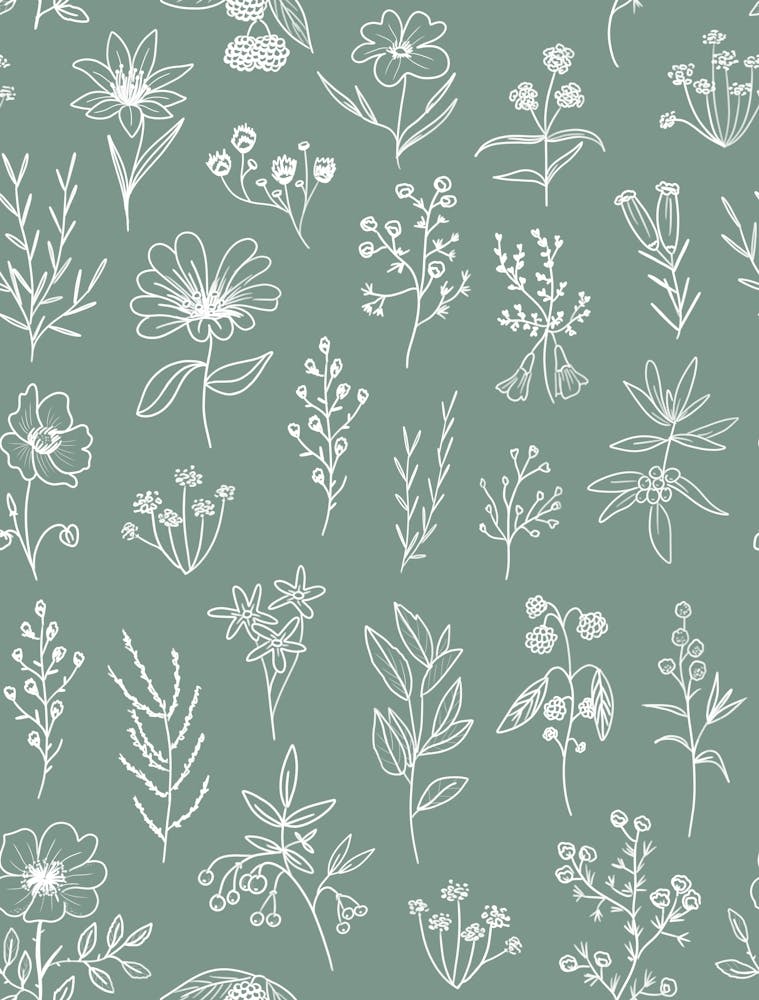 Little Patagonian Wildflowers - Sage Green