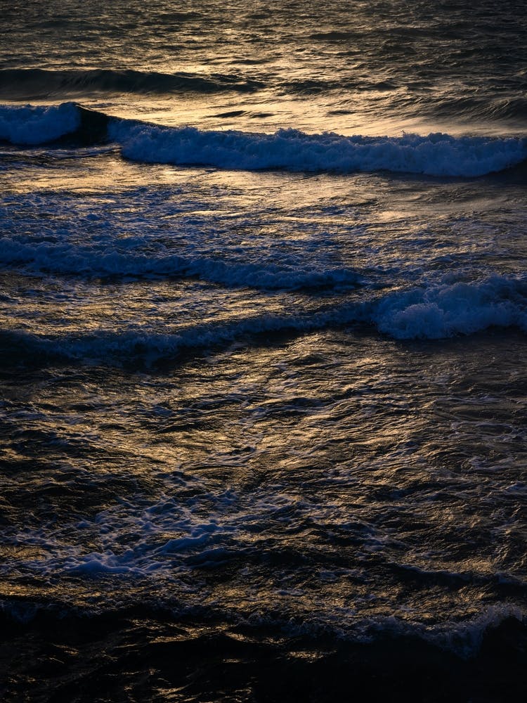 Seaside #39
