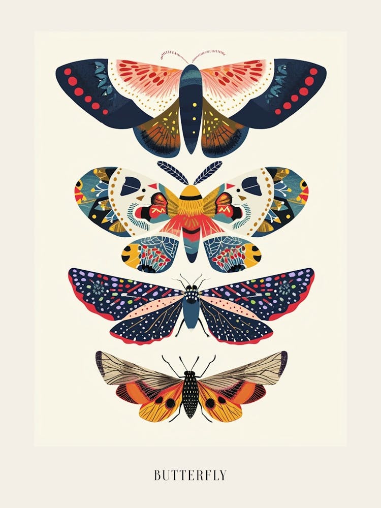 Colourful Insect Illustration Butterfly 16 Poster