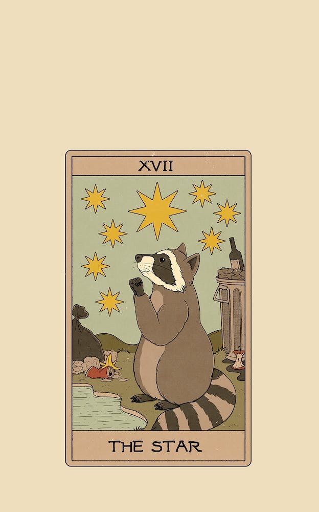 The Star   Raccoons Tarot