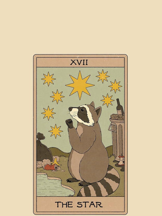 The Star   Raccoons Tarot