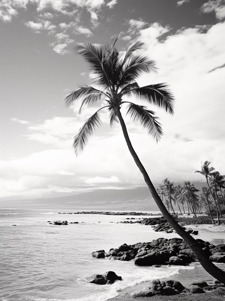 Maui Black And White Analogue Photograph 1