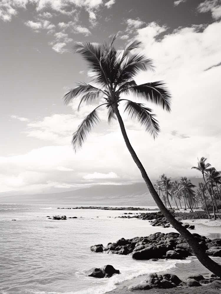 Maui Black And White Analogue Photograph 1