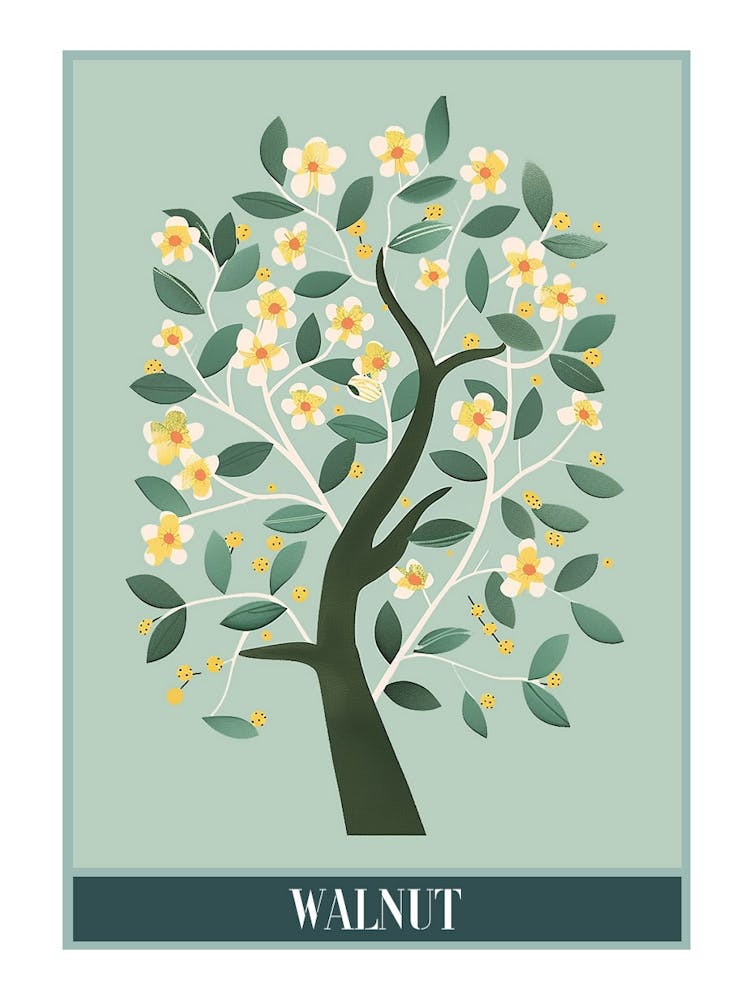 Walnut Tree Flat Illustration 5 Poster