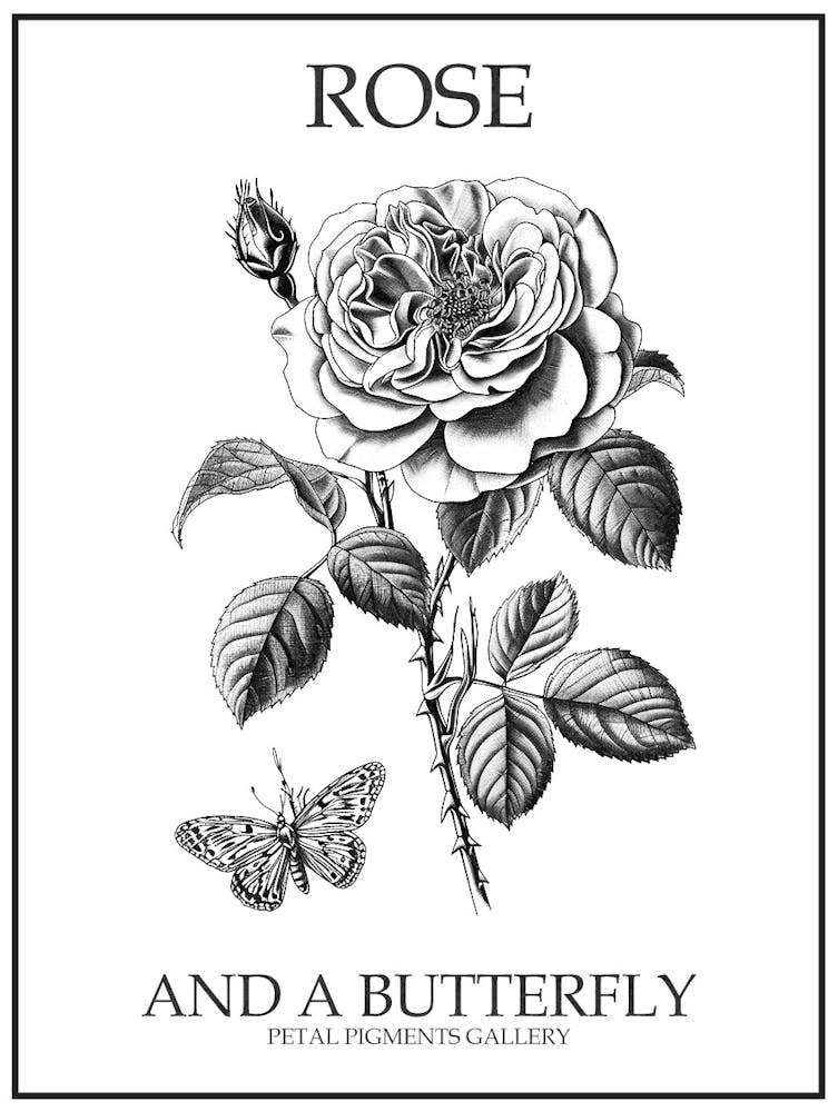Butterfly Rose Line Drawing 2 Poster