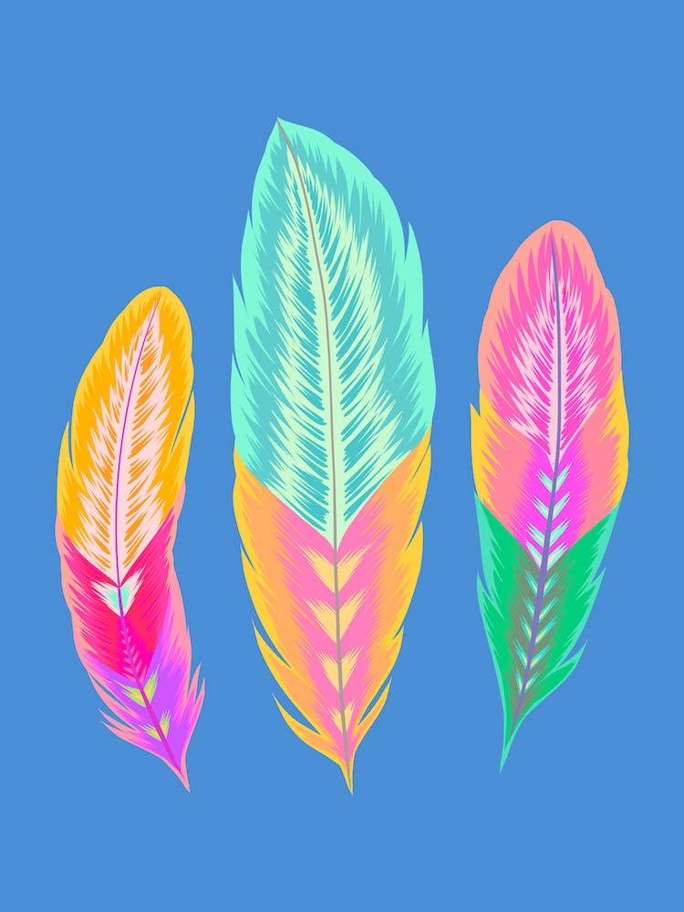 Colorful Feathers 1