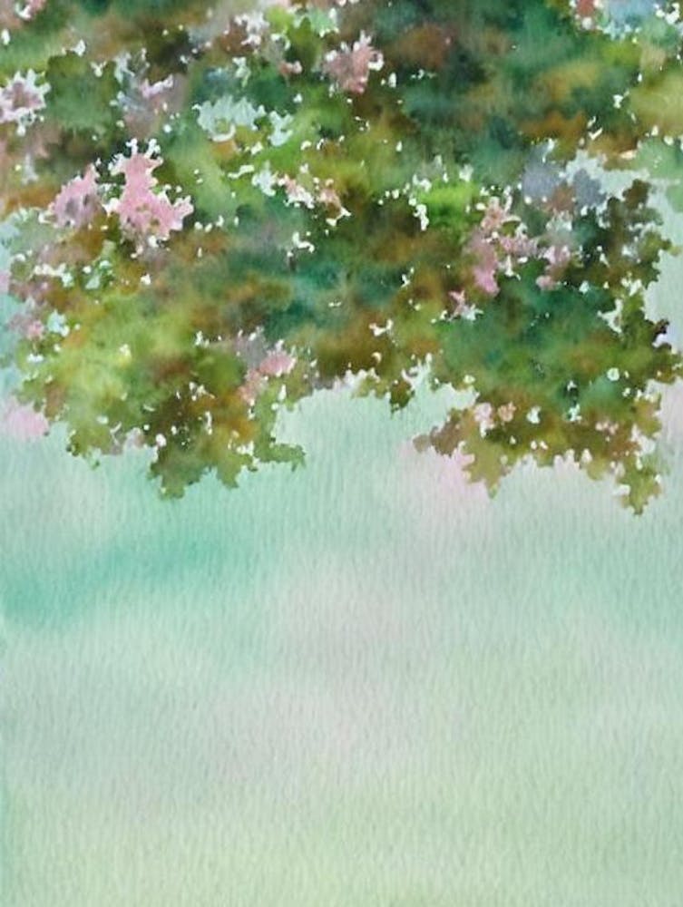 Acropora Sarmentosa Ii Storybook Watercolour