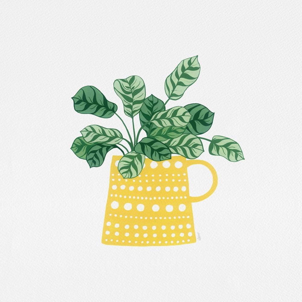 Herringbone Prayer Plant Tea Cup Painting