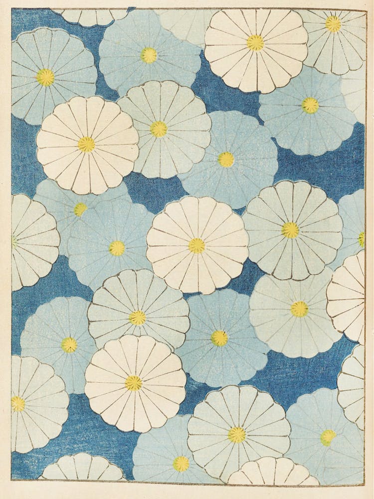 Daisies In Blue And White