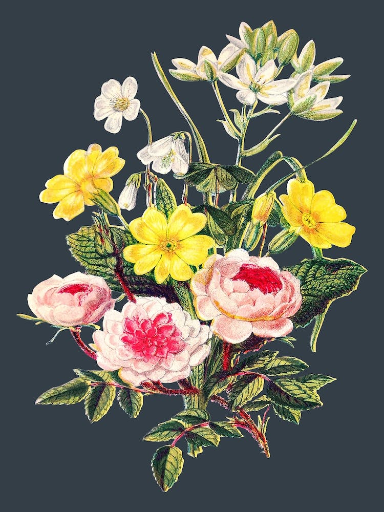Vintage-Blumenstrauß Blumen Illustration Grau