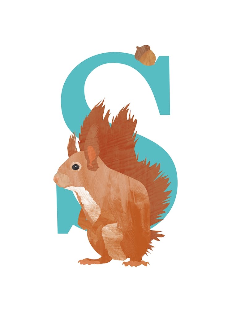 S For Squirrel