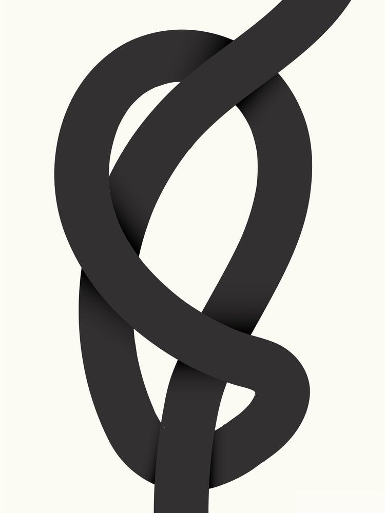 Abstract Knot