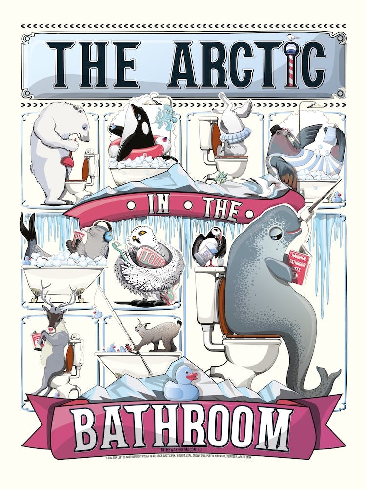 The Arctic Animals In The Bathroom