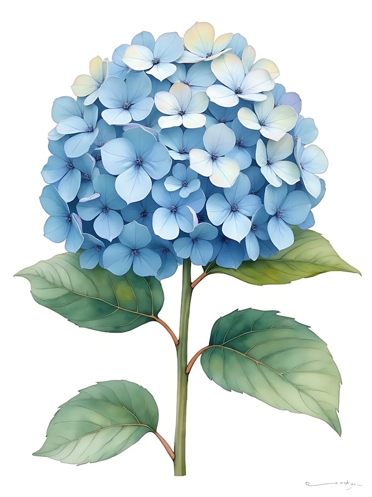 Watercolor Blue Vine Flowers