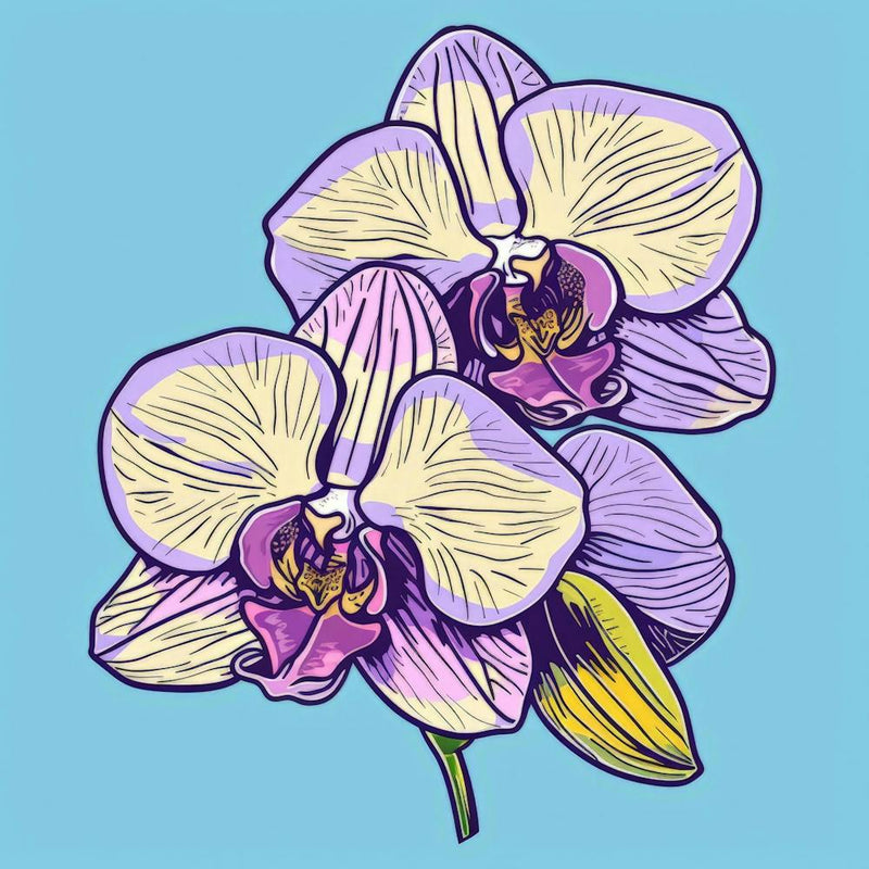 Orchideen 19