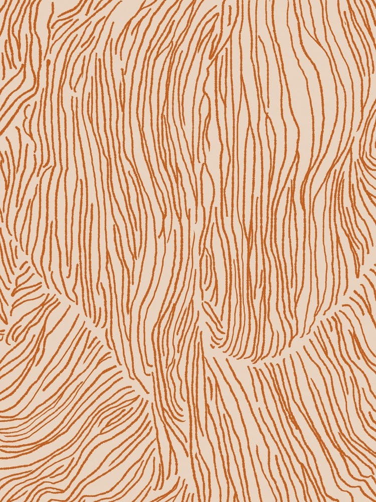 Abstract Lines In Terracotta