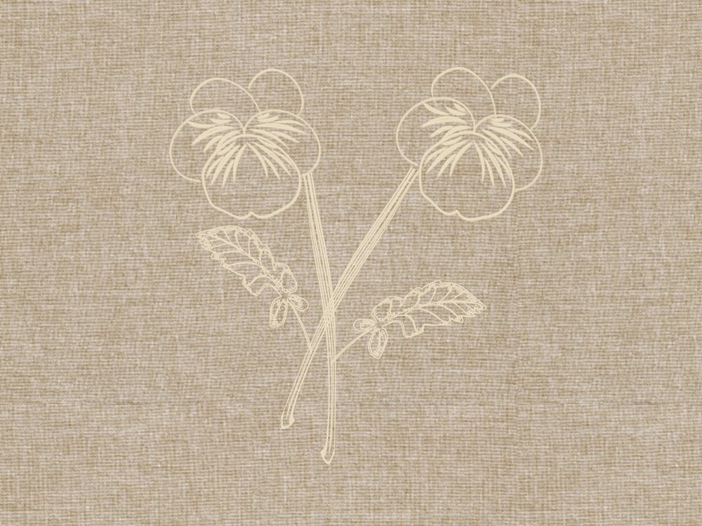 Fleurs en Line Art Février Violet Foncé