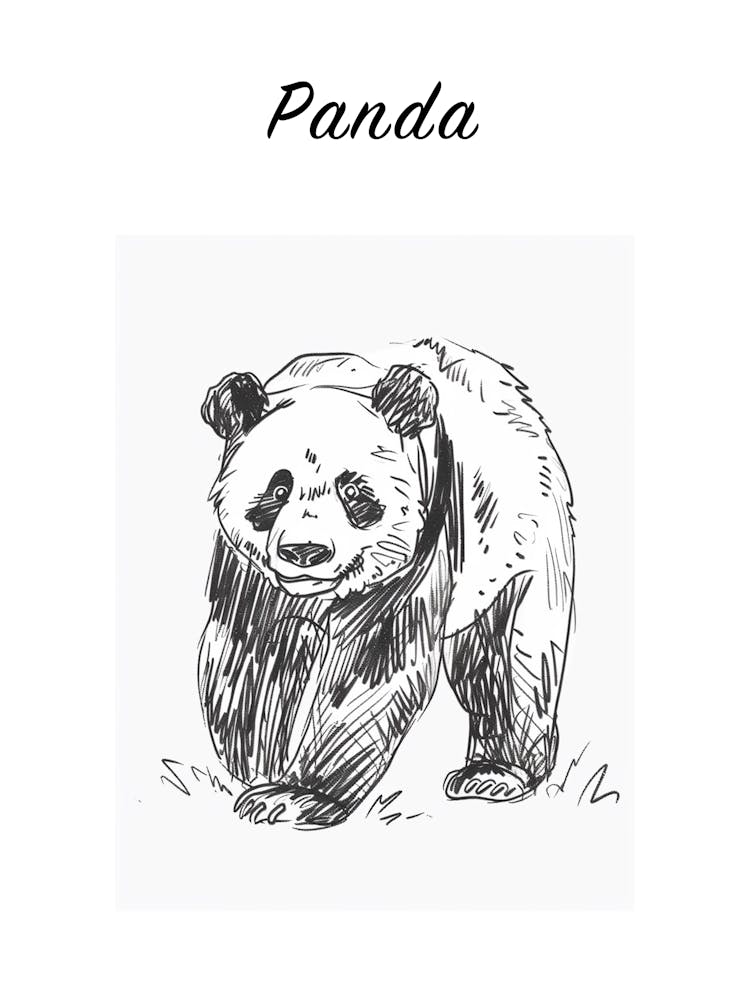 B&W Panda Poster