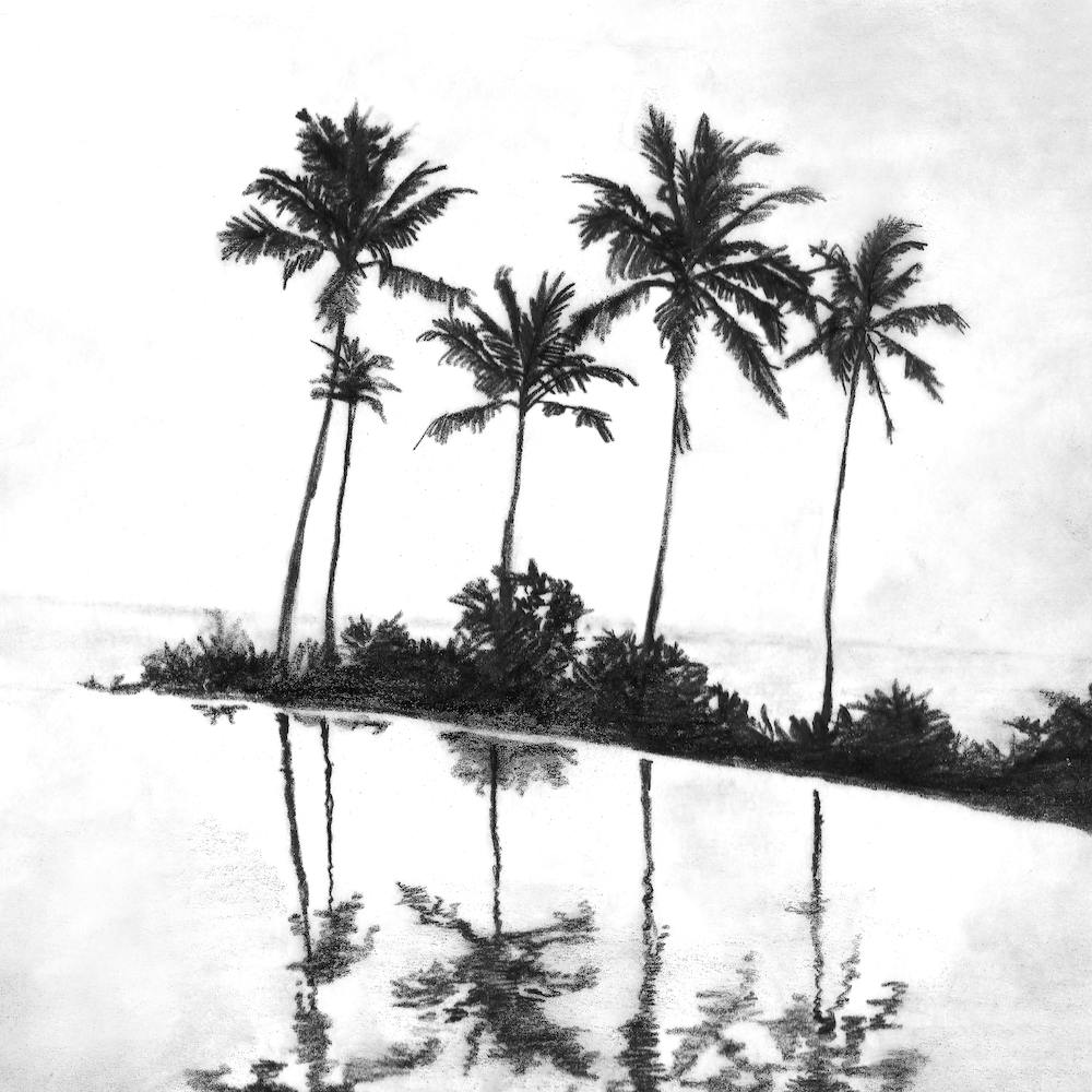 Palm Tree Reflections Black Square