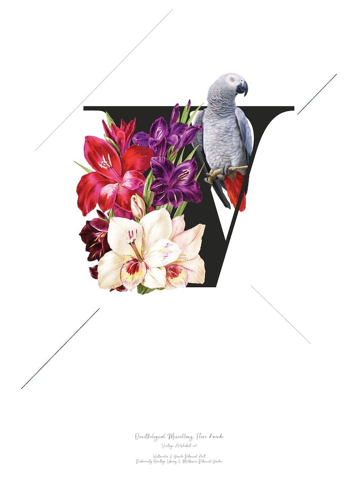 Botanical  Alphabet V