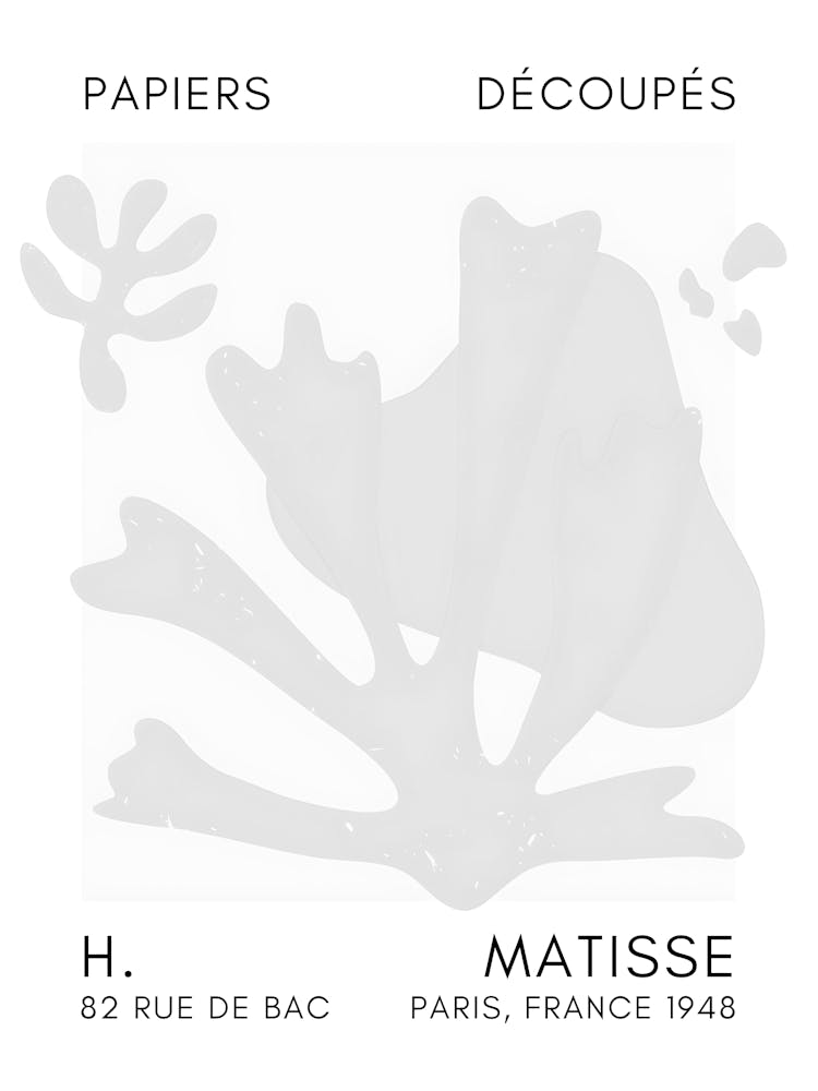 H Matisse 55