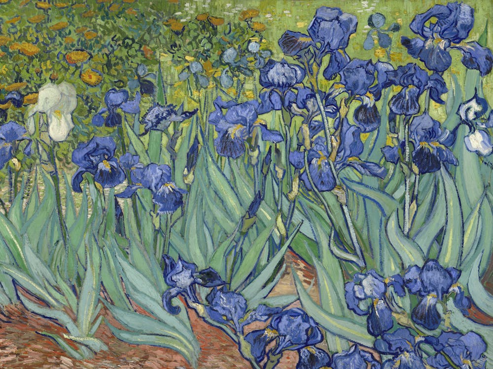 Irises, Par Vincent Van Gogh, 1889, Peinture Post-Impressionniste Néerlandaise, Huile sur Toile
