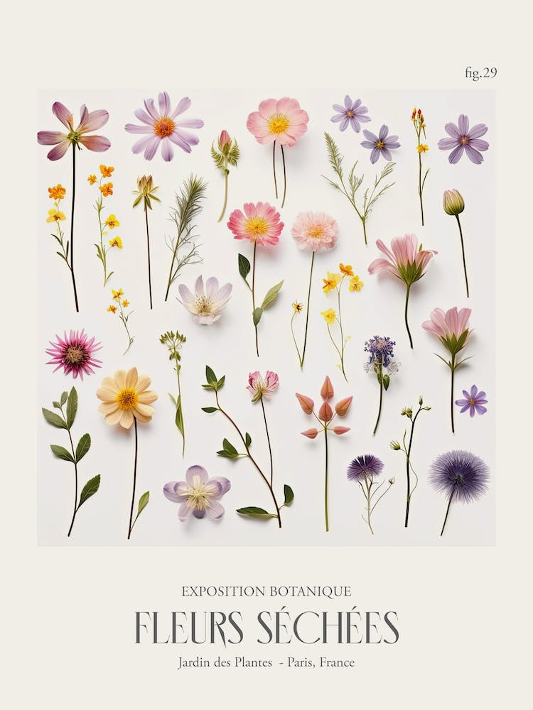 Fleurs Sechees, Dried Flowers Exhibition Poster 29