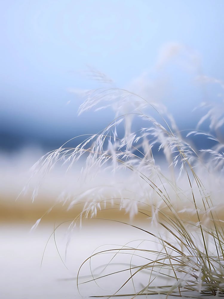 Grass Stock Videos & Royalty-Free Footage