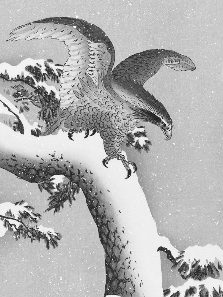 Eagle In Snow