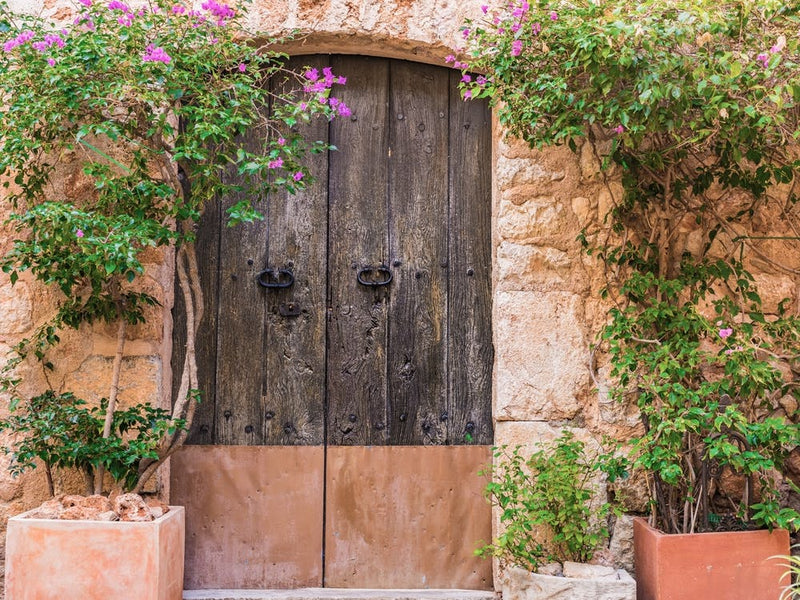 Door To A House