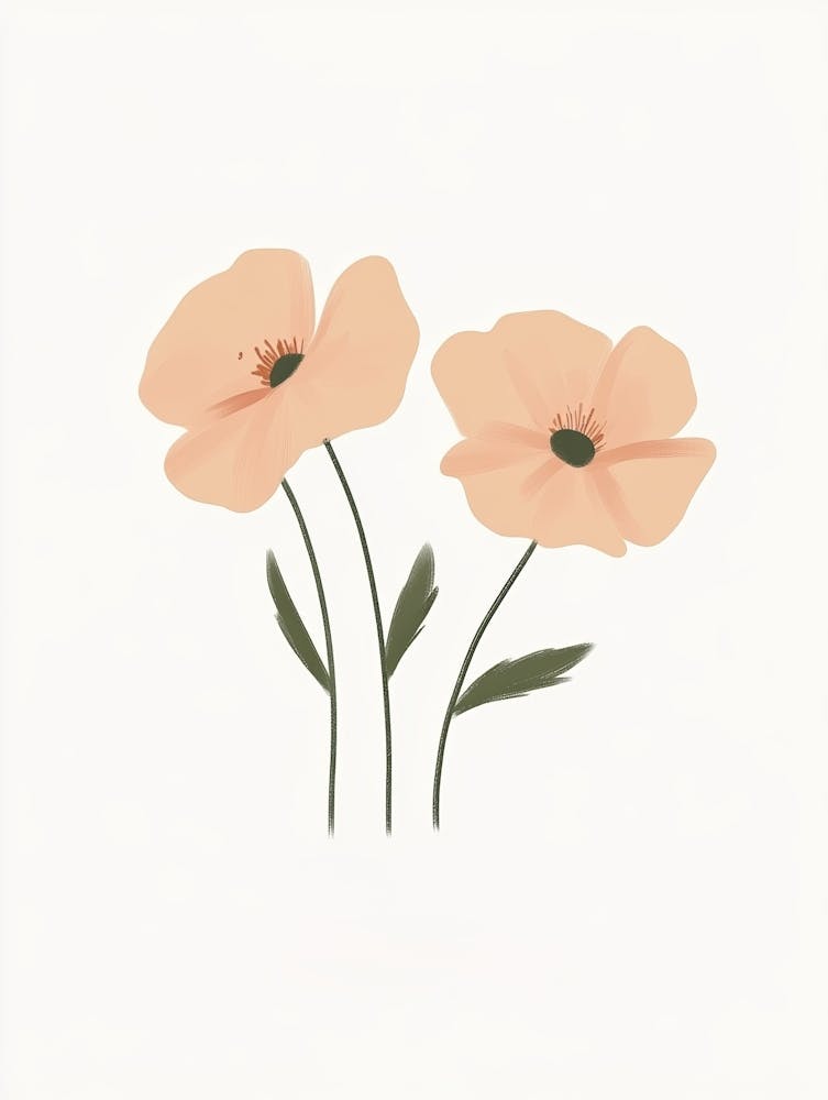Two Pink Poppies Art