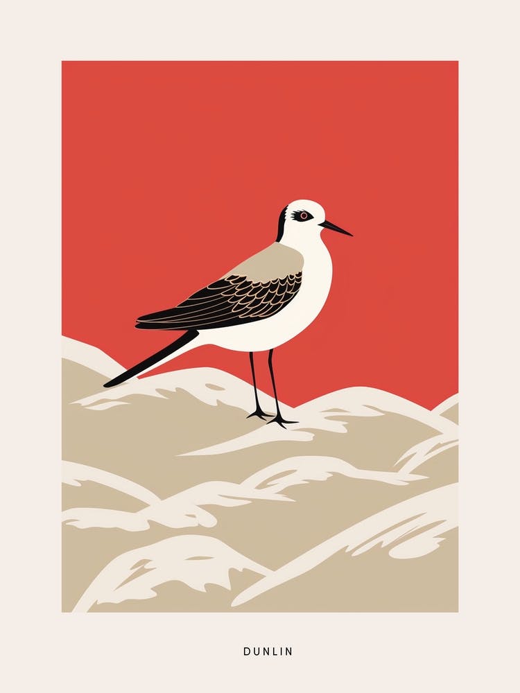 Minimalistischer Alpenstrandläufer 3 Vogelposter