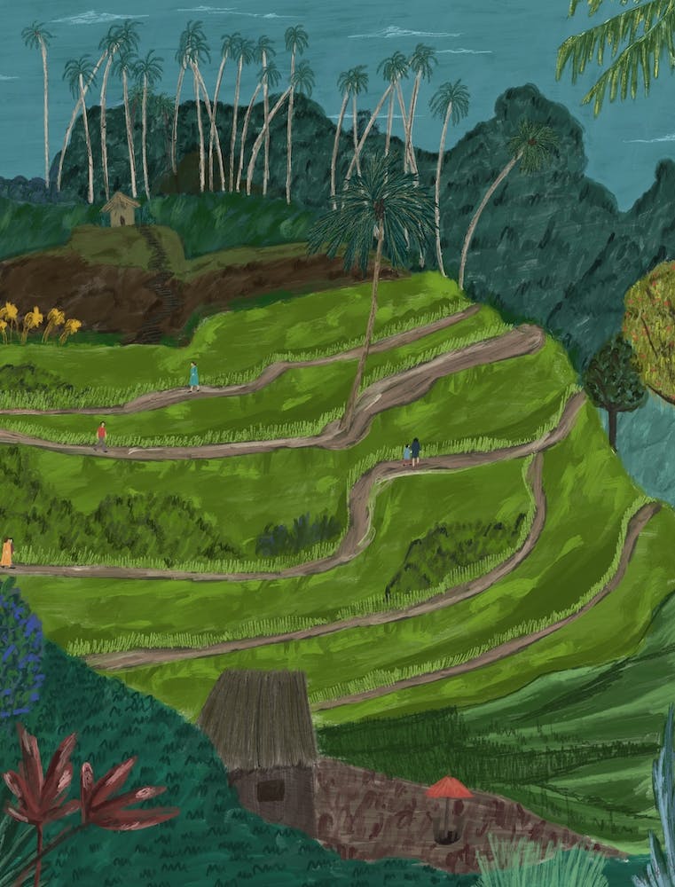 Bali Rice Fields