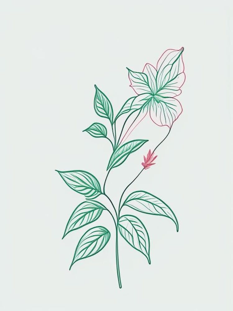 Peppermint Floral Minimal Line Drawing 4 Flower