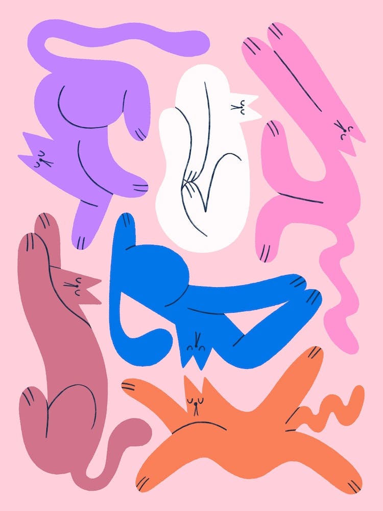 Funky Cats