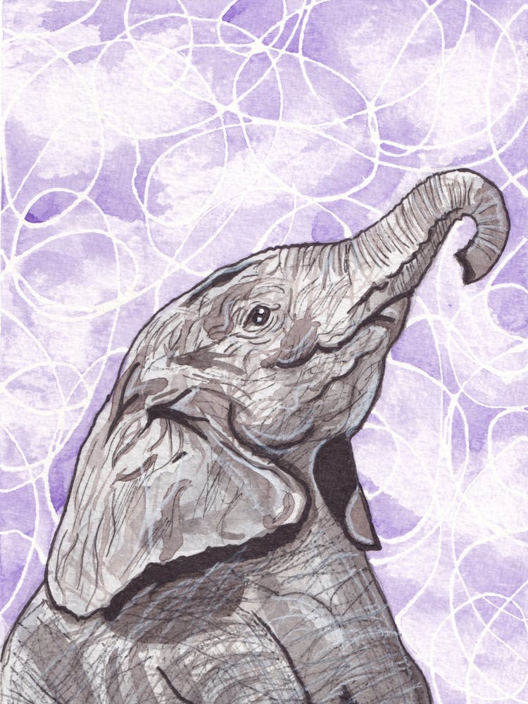 Elephant In Purple