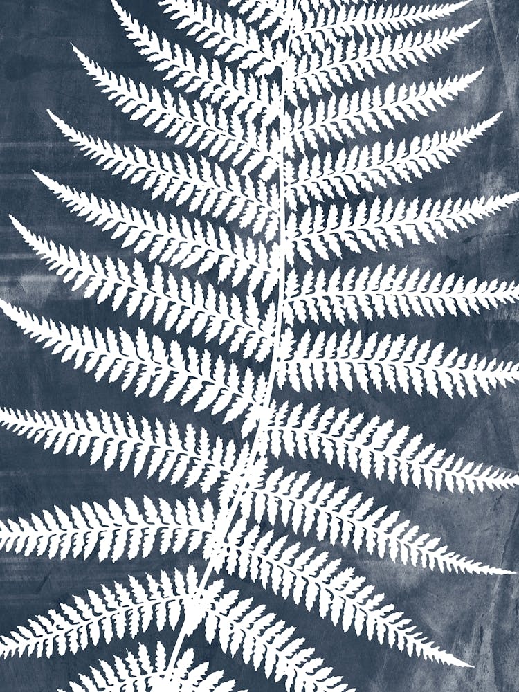 Fern Leaves in Navy Blue, Farmhouse Botanical 2