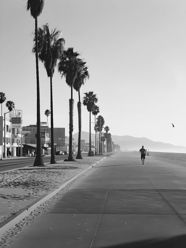 Black And White Street Scene