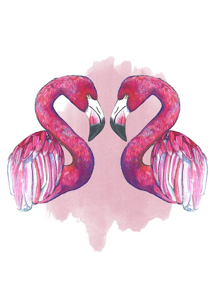 Flamingos In Love