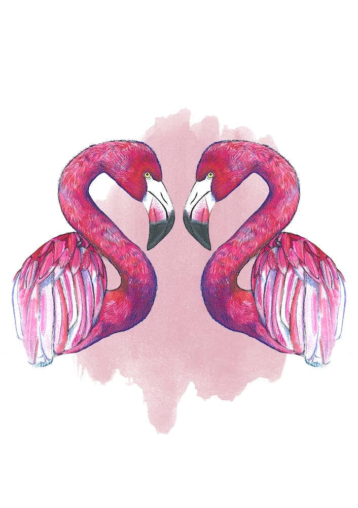 Flamingos In Love