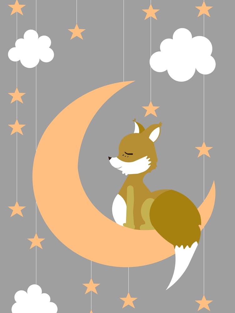 Renard pour Enfants I