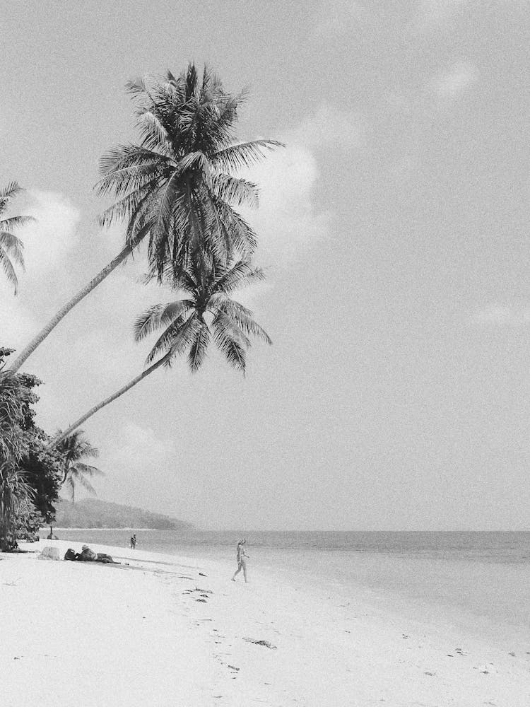 Scène de Plage en Noir et Blanc 2