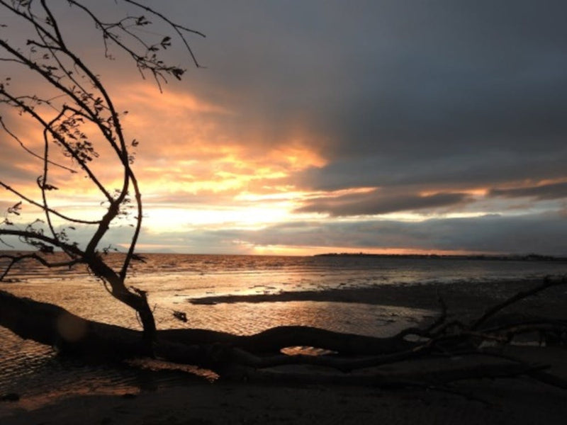 Sunset On The Beach 1